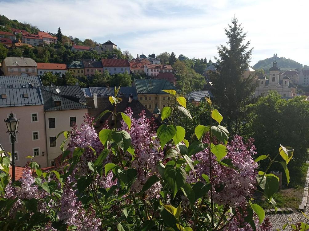Apartment Melita - The Very Centre Of Town Banská Štiavnica Екстериор снимка